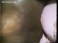 Beast Sex - Canine pounding pink pussy beastiality taboo